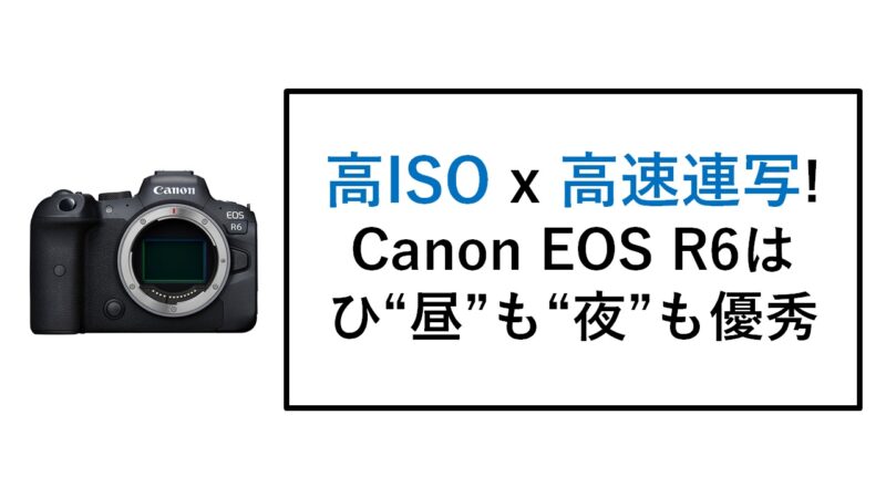 Canon - 【最終値下げ中！】Canon eos R6 (保証あり) キヤノン 中古 1年保証 美品 Canon EOS R6 RF24-105 IS STM